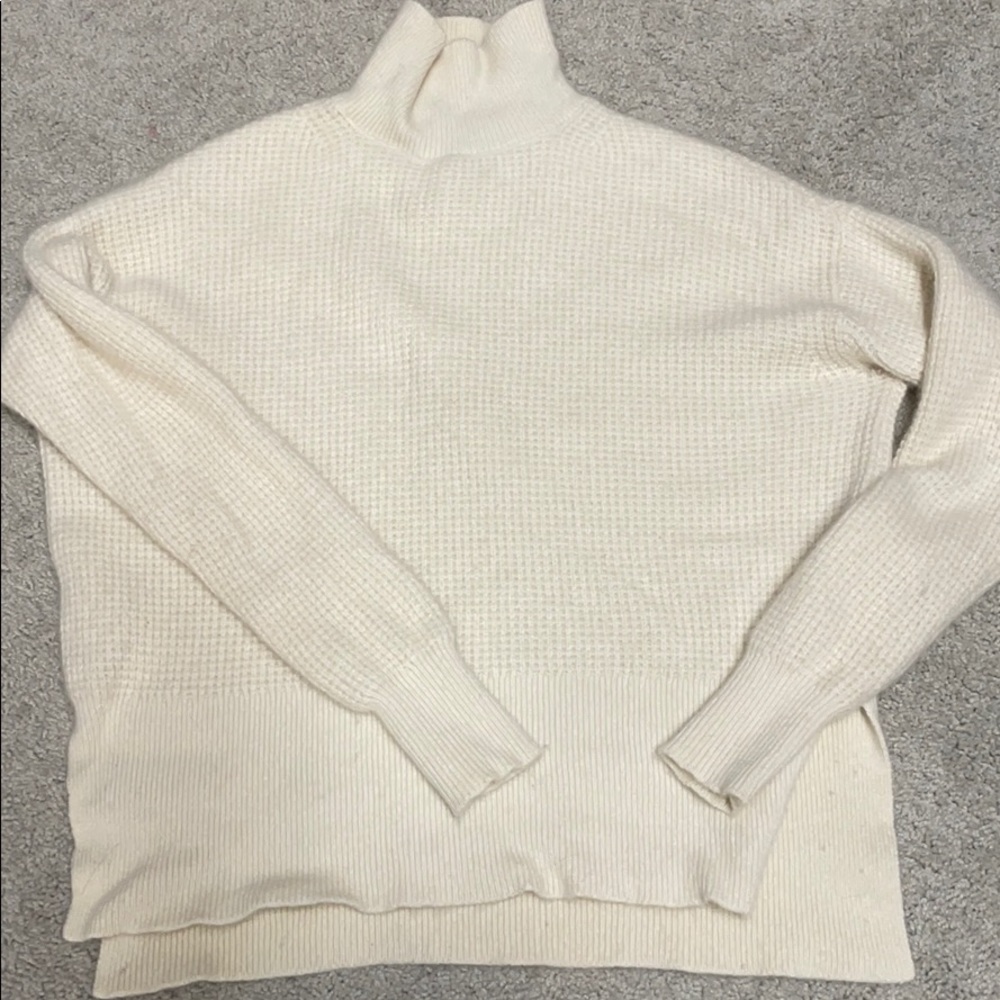 Everlane waffle turtleneck cashmere sweater